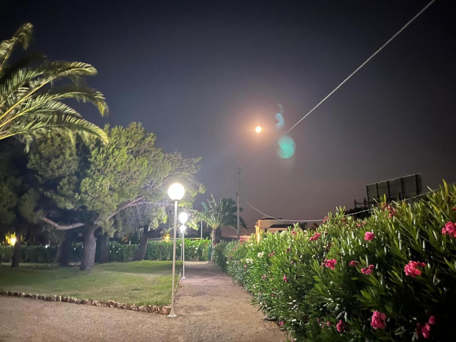 Apartamento Pis La Rapita Alcanar Exterior foto